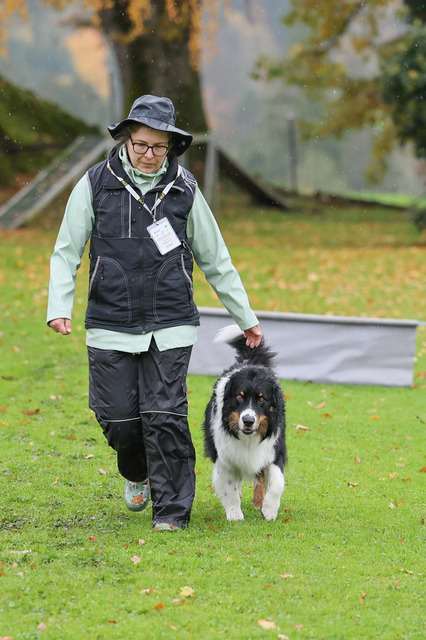2025_Rally_Obedience_SM-27 | Ich fotografiere Hundeausstellungen, Sportanlässe, Zuchtstätten, Hundezucht, Hundeportrait, Lagotto - Realisiert mit Pictrs.com