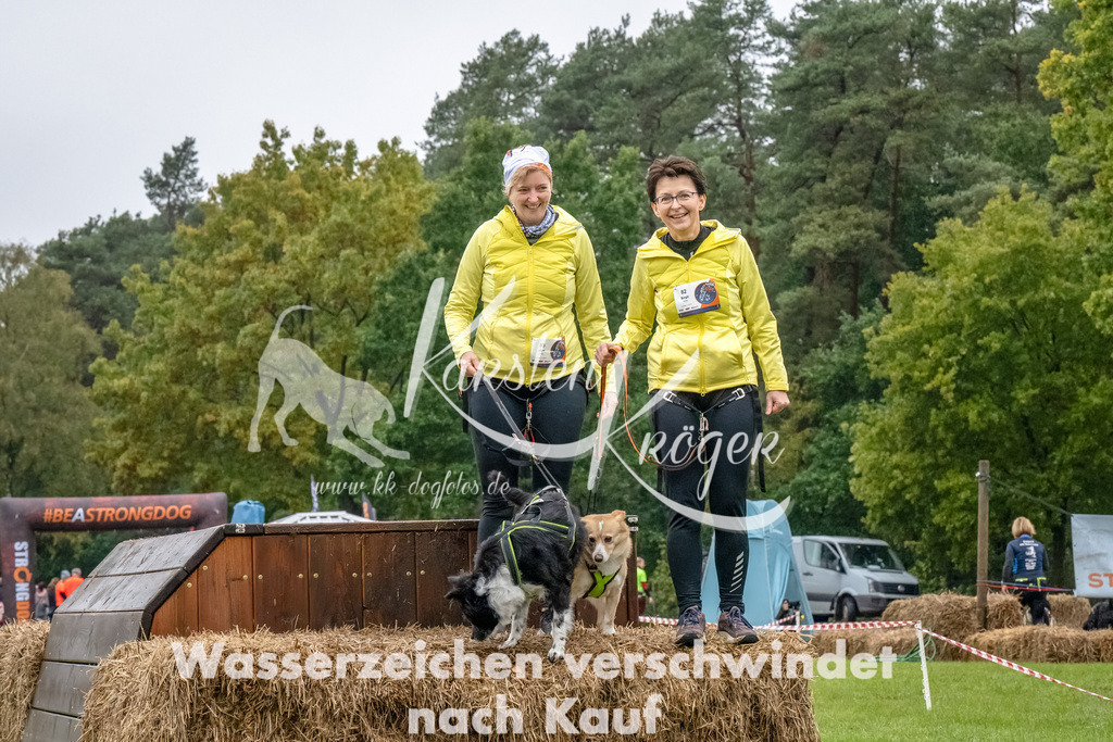 1208--4 | kk-dogfotos