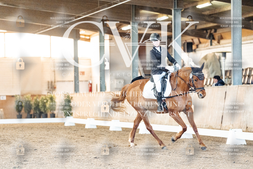 CK906598 | Turnierfotografie Pferdefotografie Trier Rheinland-Pfalz Pferdesport Reitsport Tierfotografie Sportfotografie Pferdevideo Pferdevideografie Equestrianvideography equestrianphotography  - Realisiert mit Pictrs.com