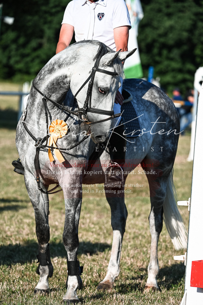 DSC_3190 | Pferde- und Turnierfotografie in Westsachsen. Pferdeportraits, Auftragszeichnungen und intuitive Kunst.