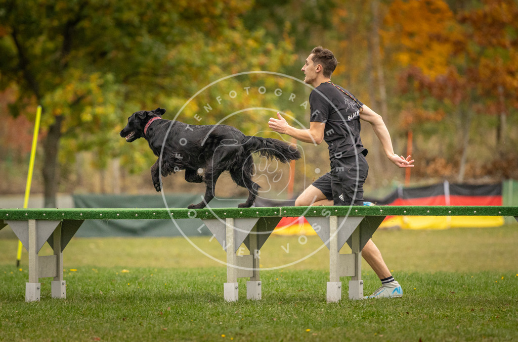 Pfotenfotografie_DV3A7690 | Hundefotografie, Tierfotograf, Pfotenfotografie, Fotoshooting Hund, Hunde Portrait, Hundesport, Hundeportraits, Heideshooting, Hunde, Sportfotograf, Hundefotograf, Turnierhundsport, THS,  - Realisiert mit Pictrs.com