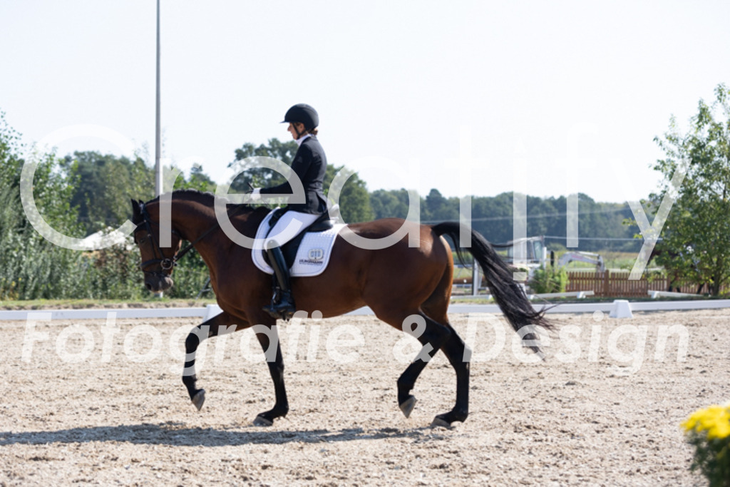 IMG_4121 | Creatify Fotografie