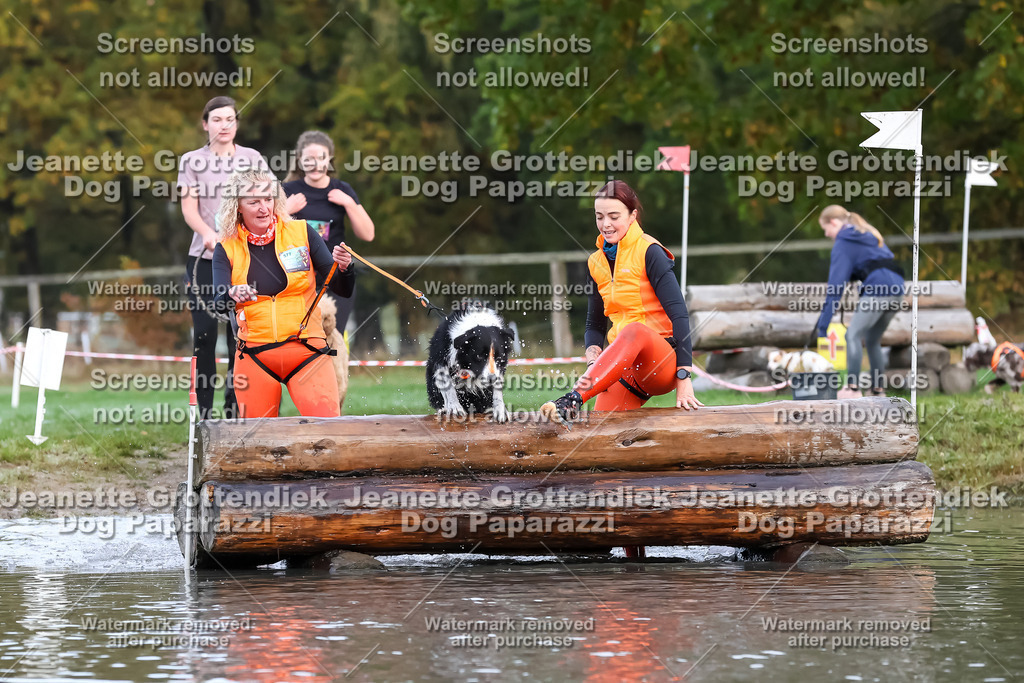 Dog Paparazzi - Strongdog 10-25-6459 | Dog Paparazzi Jeanette Grottendiek Fotografie & Videografie - Realisiert mit Pictrs.com