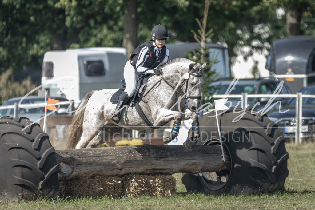 20250907-_3LR7884 | Tierfotografie Pferde, Hunde, Katzen, Haustiere.
Turnierfotografie Reitturniere, Reiten, Springreiten, Dressur in Hanau, dem Main-Kinzig-Kreis und dem Rhein-Main- Gebiet um Frankfurt