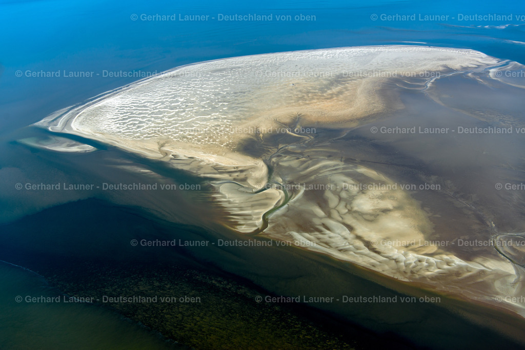 3801572 | Süderoogsand,Nationalpark Schleswig-Holsteinisches Wattenmeer