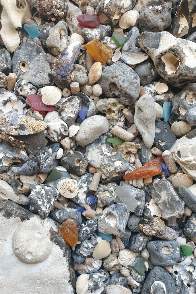 Strandgut2 | dataxp - Realisiert mit Pictrs.com