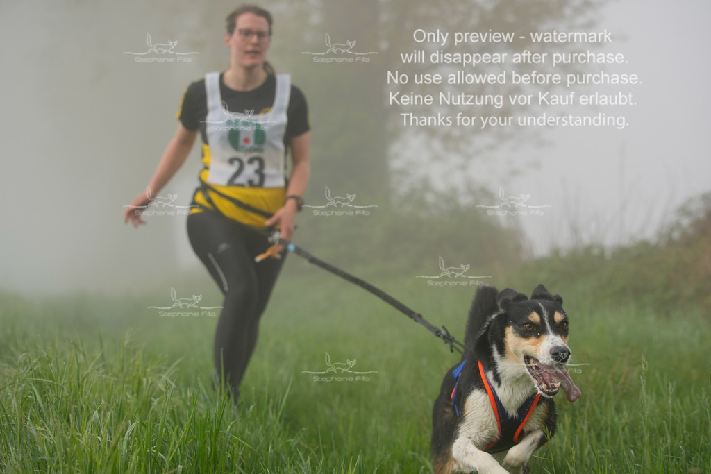 SA_GL2-131 | stephaniefillaphotographie - Realisiert mit Pictrs.com