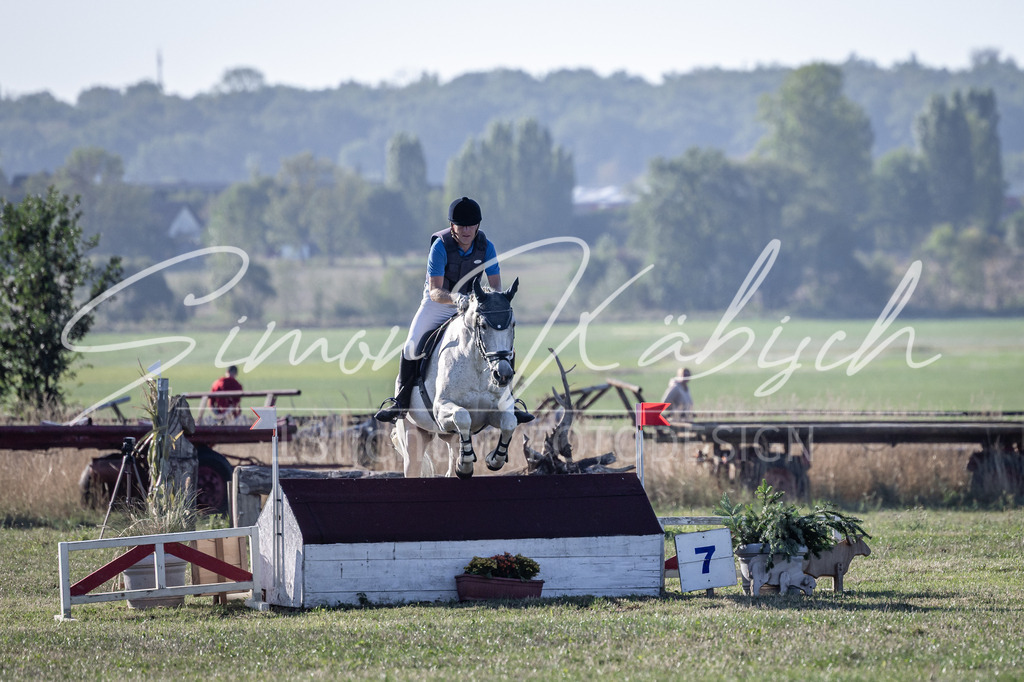 20260906-_3LI1164 | Tierfotografie Pferde, Hunde, Katzen, Haustiere.
Turnierfotografie Reitturniere, Reiten, Springreiten, Dressur in Hanau, dem Main-Kinzig-Kreis und dem Rhein-Main- Gebiet um Frankfurt