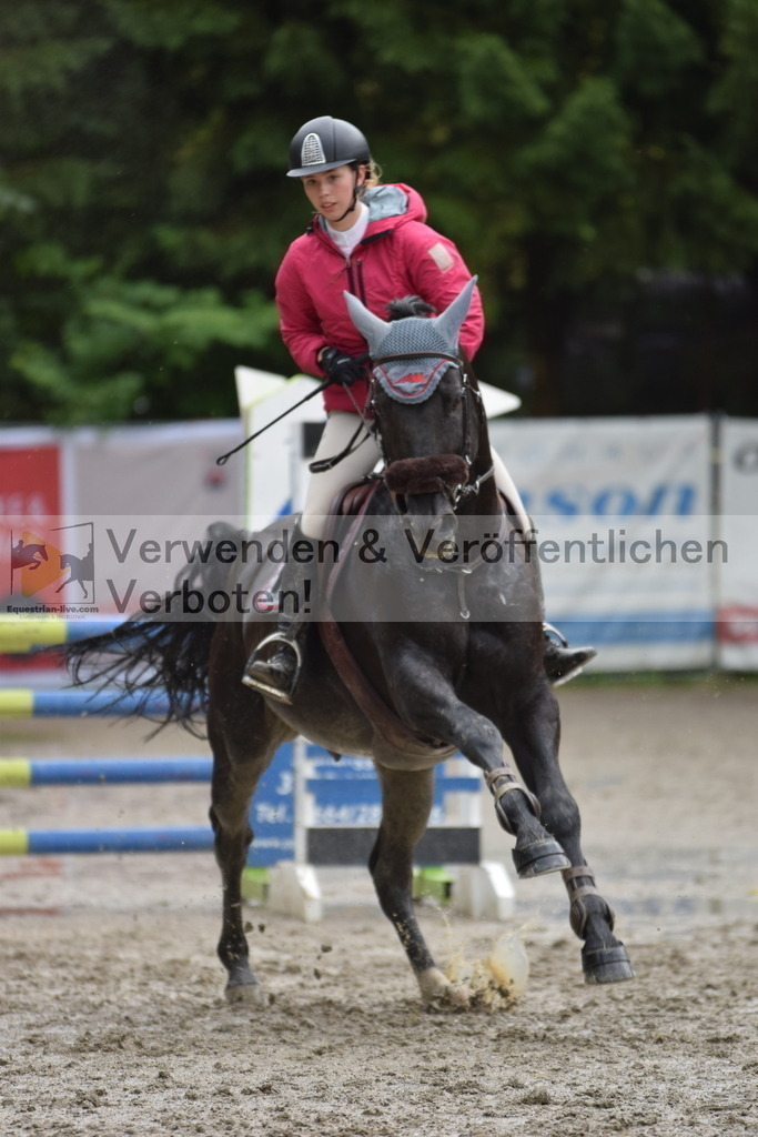 DSC_0047 | equestrian-live-com