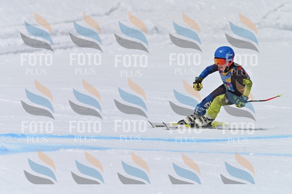 BGV_5466 | holidayphoto