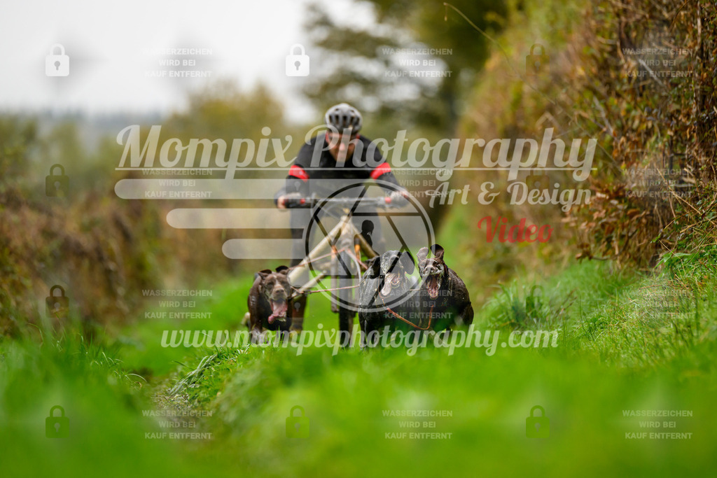 MompixPhotography_20TSB_E8_Kart-4 | PayLife
