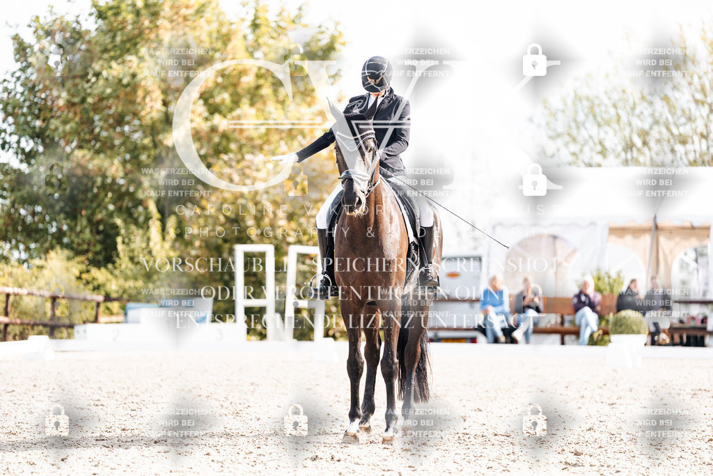 CK901713 | Turnierfotografie Pferdefotografie Trier Rheinland-Pfalz Pferdesport Reitsport Tierfotografie Sportfotografie Pferdevideo Pferdevideografie Equestrianvideography equestrianphotography  - Realisiert mit Pictrs.com