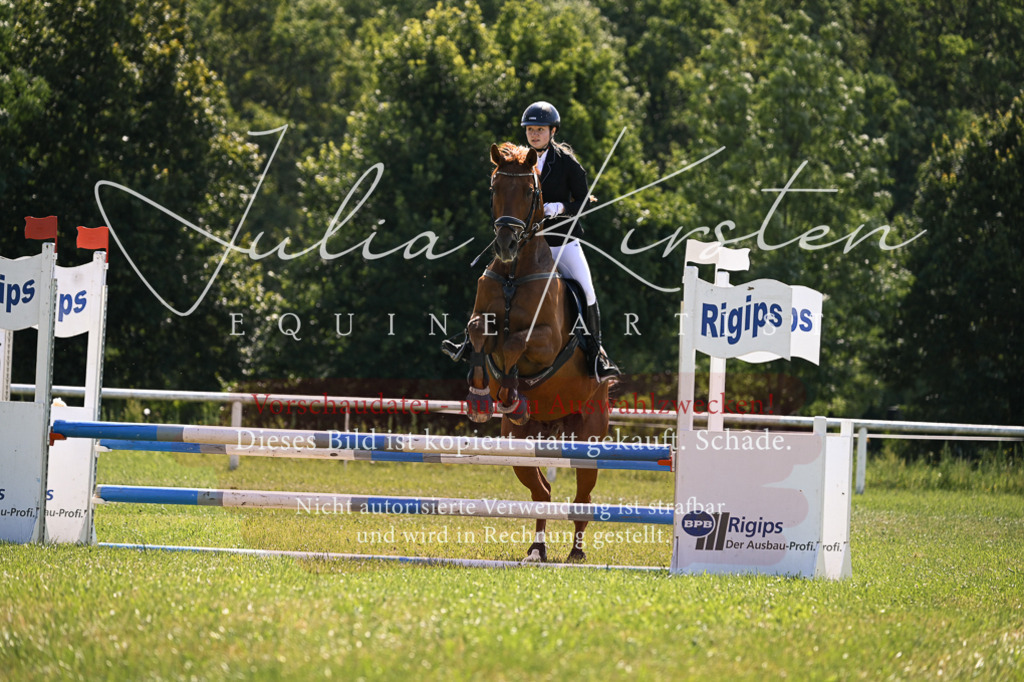 DSC_8873 | Pferde- und Turnierfotografie in Westsachsen. Pferdeportraits, Auftragszeichnungen und intuitive Kunst.