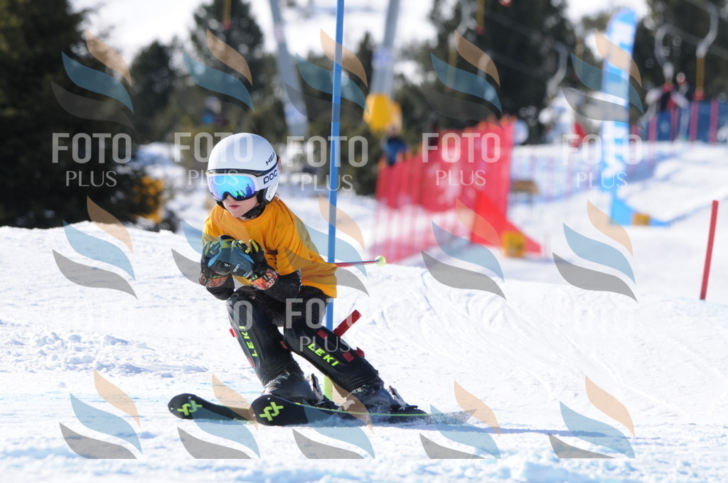 C7127 | holidayphoto