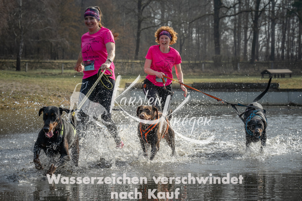 1027_ZZ97595 | kk-dogfotos