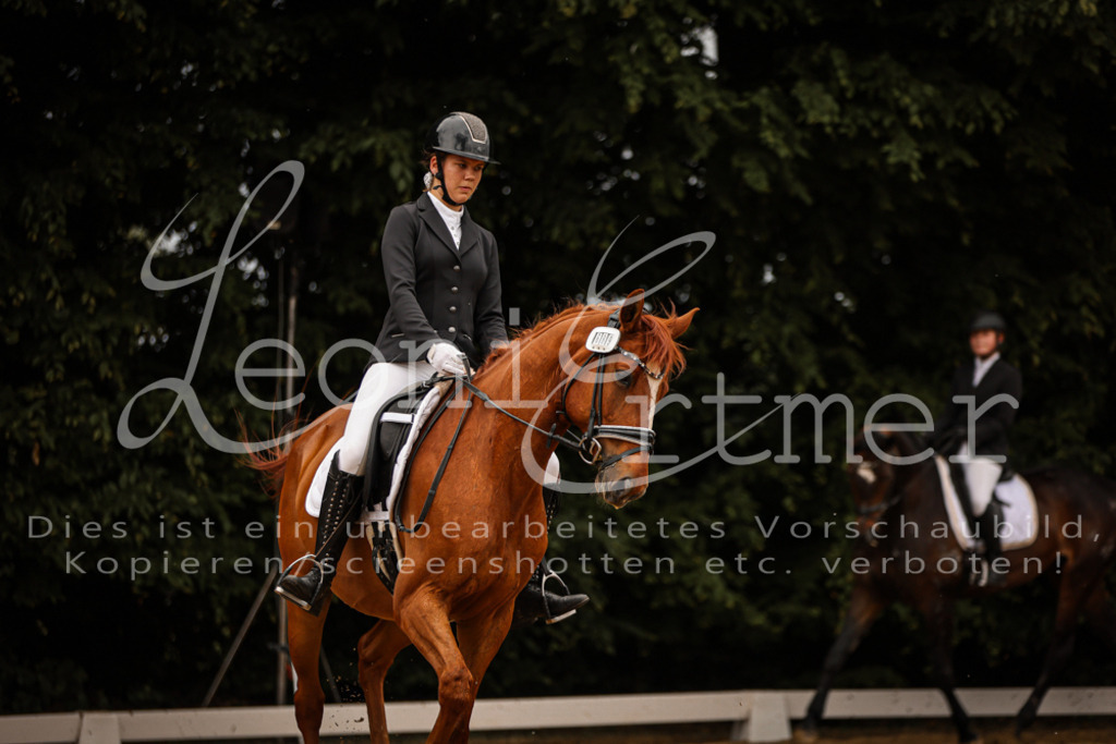 DoDrE00258 | Leoni Ertmer Photography - Realisiert mit Pictrs.com