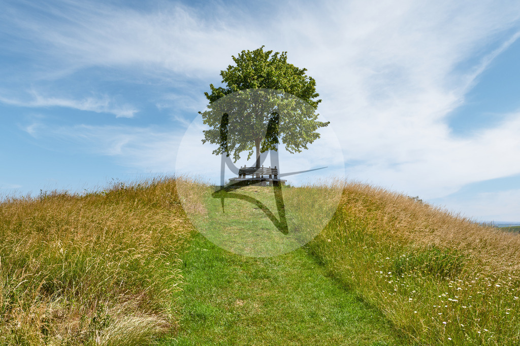 Tumulus auf dem Meescheberg in Klein Vahlberg | Meurer Shop - Realisiert mit Pictrs.com