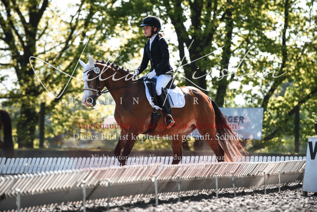 DSC_8723 | Pferde- und Turnierfotografie in Westsachsen. Pferdeportraits, Auftragszeichnungen und intuitive Kunst.