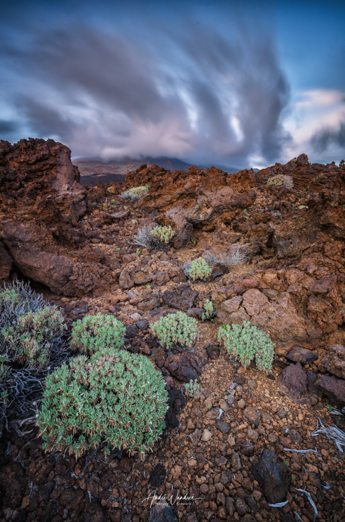 Leben auf Lavafeldern | Andre Wandrei - Nature Artworx - Realisiert mit Pictrs.com