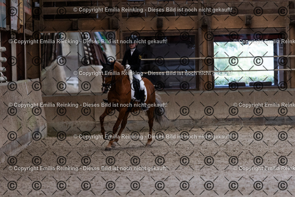 CL5A5420 | Emilia Reinking Fotografie - Realisiert mit Pictrs.com