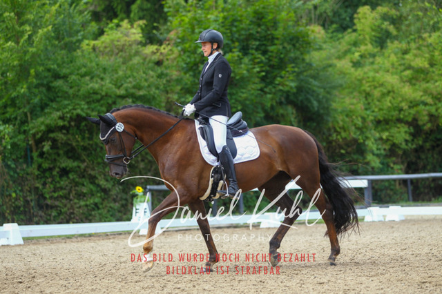 DKP40517 | Turniersportfotografie; Pferdefotografie; Dressurfotografie