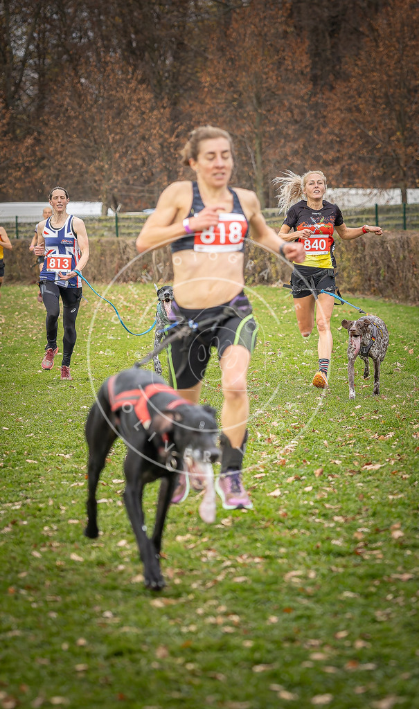 CaniXpix_DV3A6217 | Hundefotografie, Tierfotograf, Pfotenfotografie, Fotoshooting Hund, Hunde Portrait, Hundesport, Hundeportraits, Heideshooting, Hunde, Sportfotograf, Hundefotograf, Turnierhundsport, THS,  - Realisiert mit Pictrs.com