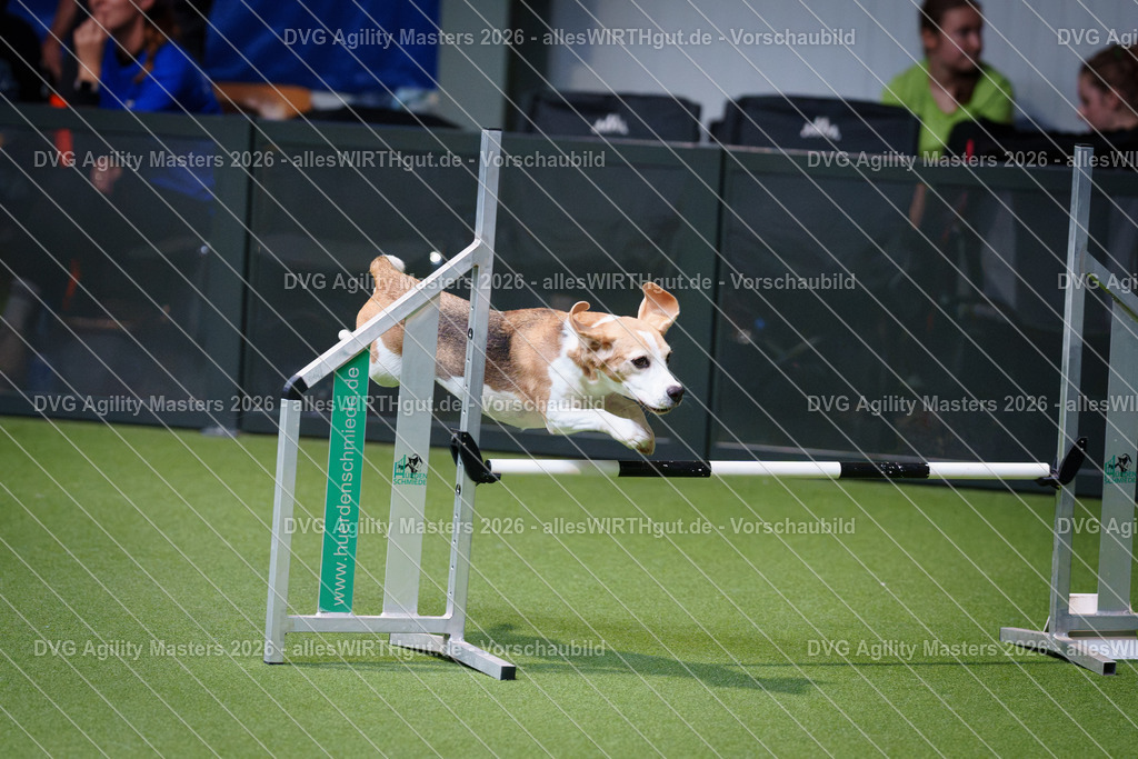 allesWIRTHgut_Tierfotografie-DVG_Agility_Masters_2026-11_22-7R505792 | Professionelle Tierfotografie in Mönchengladbach von Daniel Wirth (allesWIRTHgut). Liebevolle & natürliche Bilder von Hunden & Katzen für unvergessliche Erinnerungen.