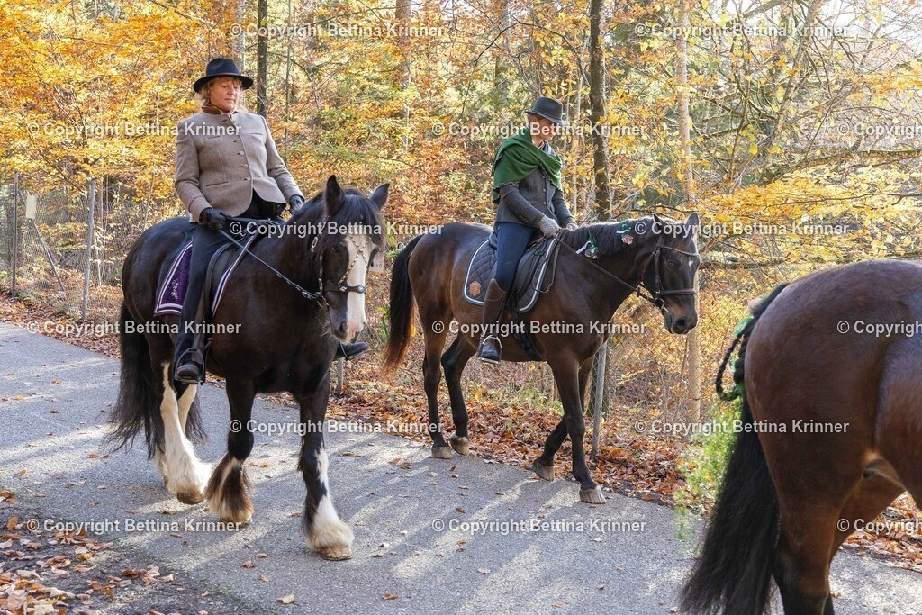 LL24-353 | foto-bettina-krinner - Realisiert mit Pictrs.com