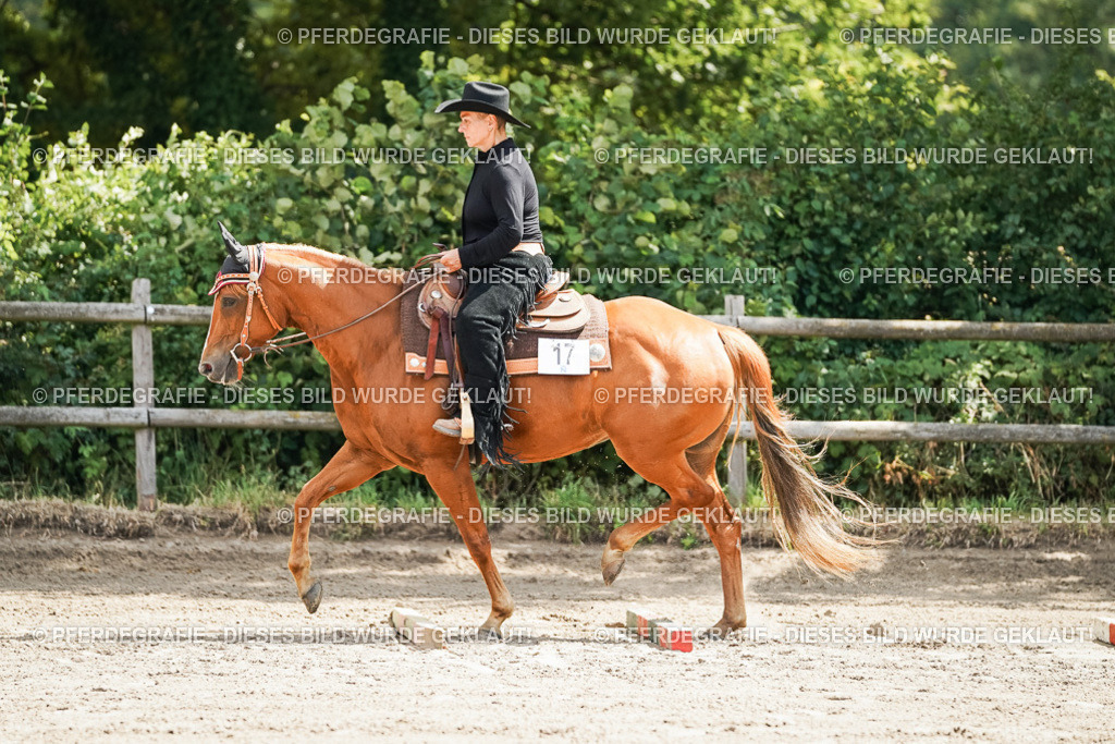 DSC06080 | Pferdegrafie