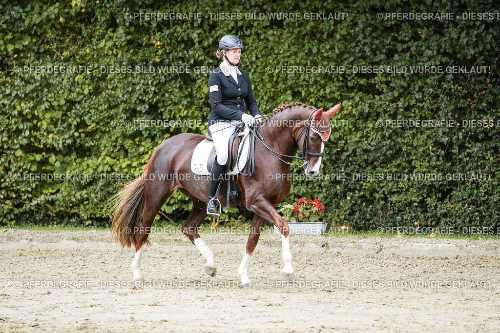 DSC06762 | Pferdegrafie