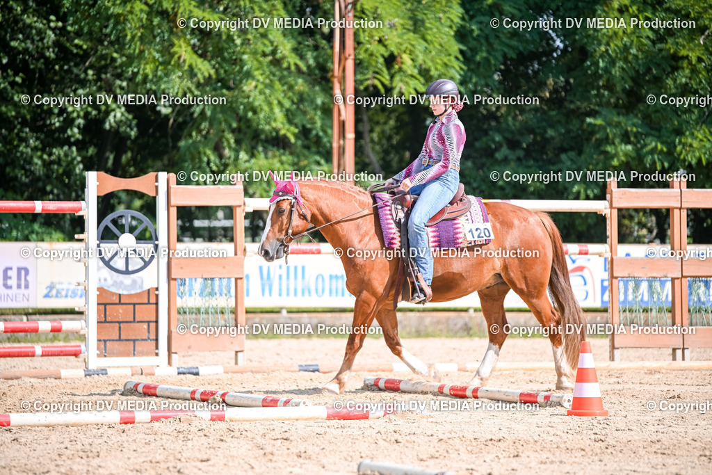 ZS2_3561 | dv-media-shop - Realisiert mit Pictrs.com