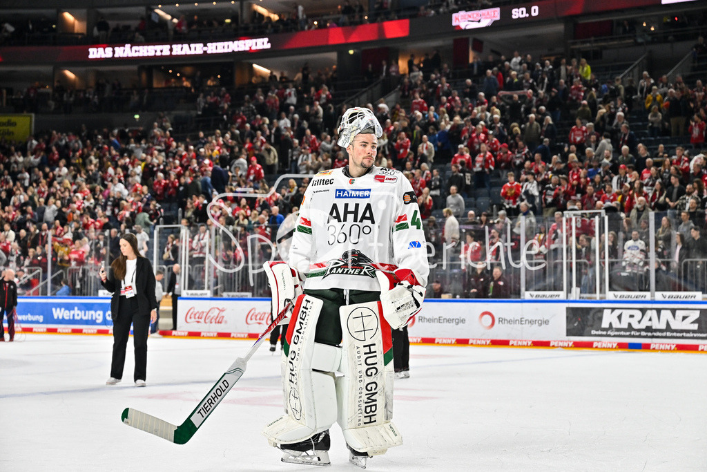 Kölner Haie - Augsburger Panther | KÖLN, DEUTSCHLAND - 04. MÄRZ: die Spieler der Panther bedanken sich bei den mitgereisten Fans nach dem Match zwischen den Kölner Haien und den Augsburger Panthern am 48. Spieltag der Penny DEL in der Lanxess Arena / Peyton JONES (Augsburger Panther 41)