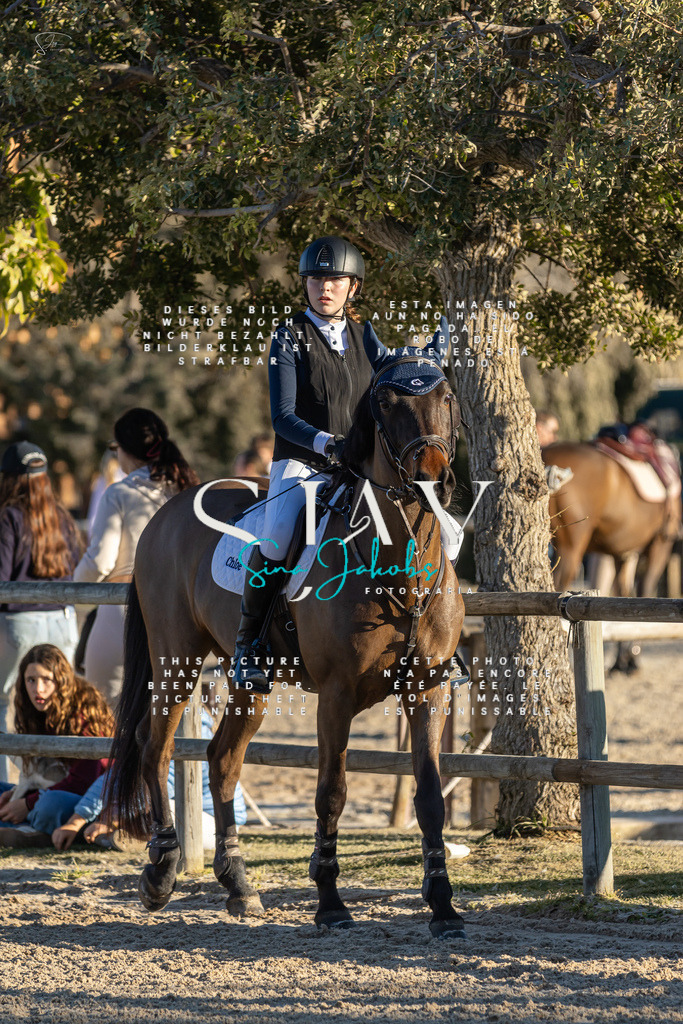 IMG_2386 | s-jay-photography - Realisiert mit Pictrs.com