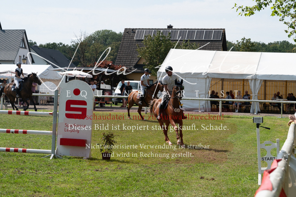 DSC_0706 | Pferde- und Turnierfotografie in Westsachsen. Pferdeportraits, Auftragszeichnungen und intuitive Kunst.
