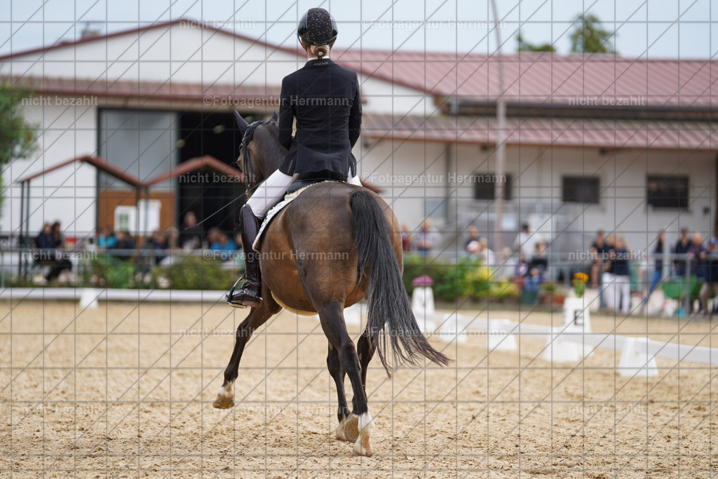 20240825-FAH00033 | Turnierbilder, Reitsportfotos, LAPO, Landesponyturnier, Turnierfotografen Bayern