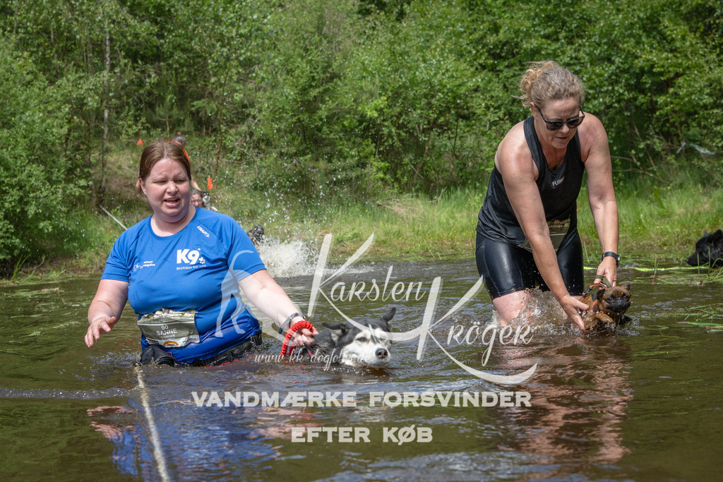 1224DKK992764 | kk-dogfotos