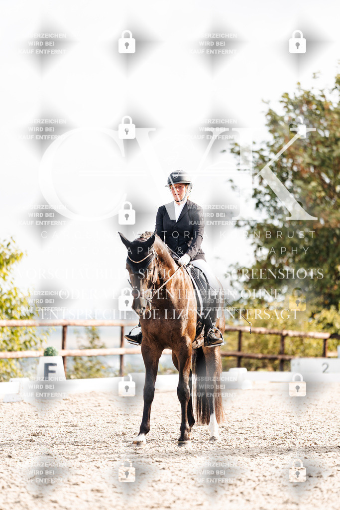 CK901307 | Turnierfotografie Pferdefotografie Trier Rheinland-Pfalz Pferdesport Reitsport Tierfotografie Sportfotografie Pferdevideo Pferdevideografie Equestrianvideography equestrianphotography  - Realisiert mit Pictrs.com