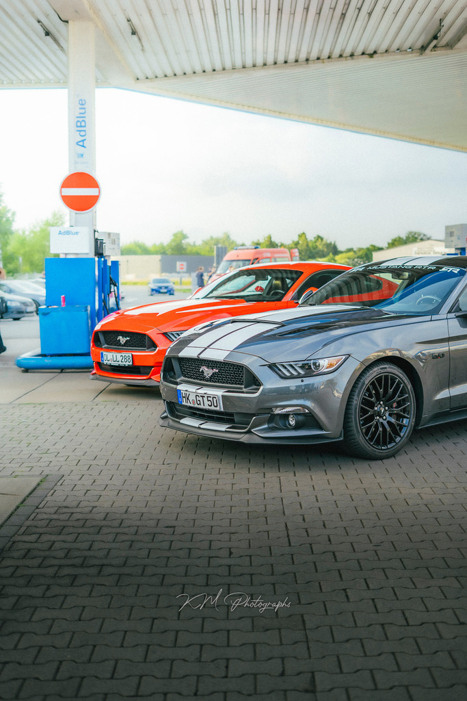 km_photographs-1270 | KM-Photographs, Shootings in Bremen und umzu.Weitere Tags:Foto , Bilder , Portrait , Auto , Kamera , Bremen , Bassum , Barrien , Kostenlos , günstig , Bilder , Fotograf , Fotos , Pictures  - Realisiert mit Pictrs.com