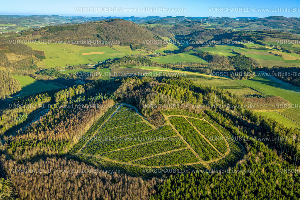 Meschede230205979 | Luftbild, Waldgebiet und Wiiese in Herzform, Meschede-Stadt, Meschede, Sauerland, Nordrhein-Westfalen, Deutschland