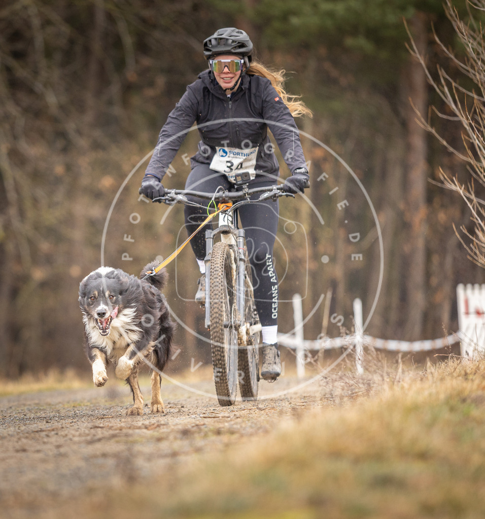 DV3A3353 | Hundefotografie, Tierfotograf, Pfotenfotografie, Fotoshooting Hund, Hunde Portrait, Hundesport, Hundeportraits, Heideshooting, Hunde, Sportfotograf, Hundefotograf, Turnierhundsport, THS,  - Realisiert mit Pictrs.com