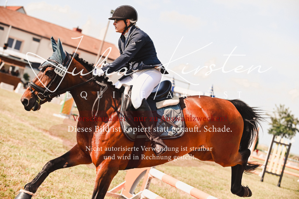 DSC_7362 | Pferde- und Turnierfotografie in Westsachsen. Pferdeportraits, Auftragszeichnungen und intuitive Kunst.