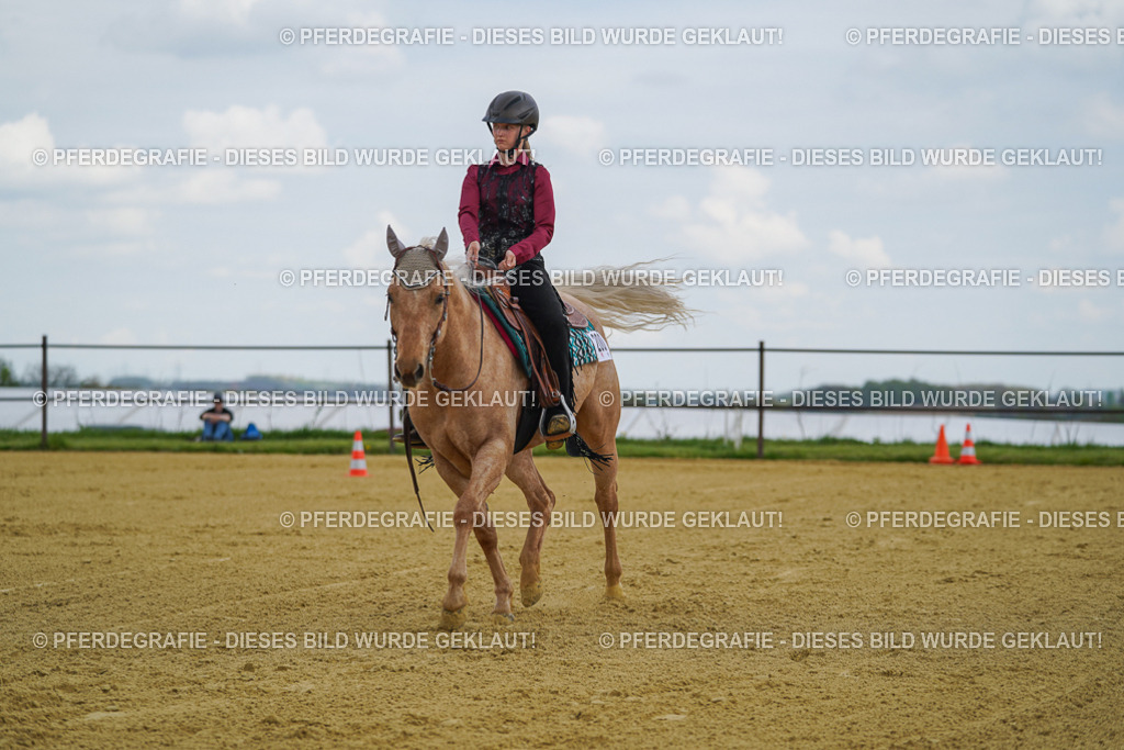 DSC05795 | Pferdegrafie