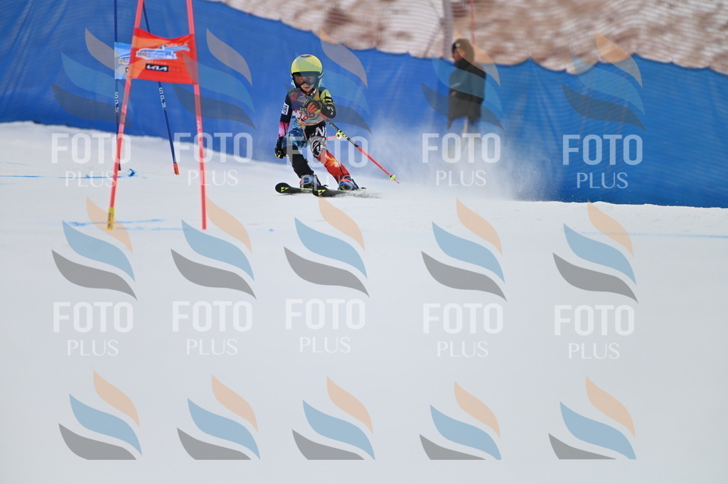 BGV_1175 | holidayphoto