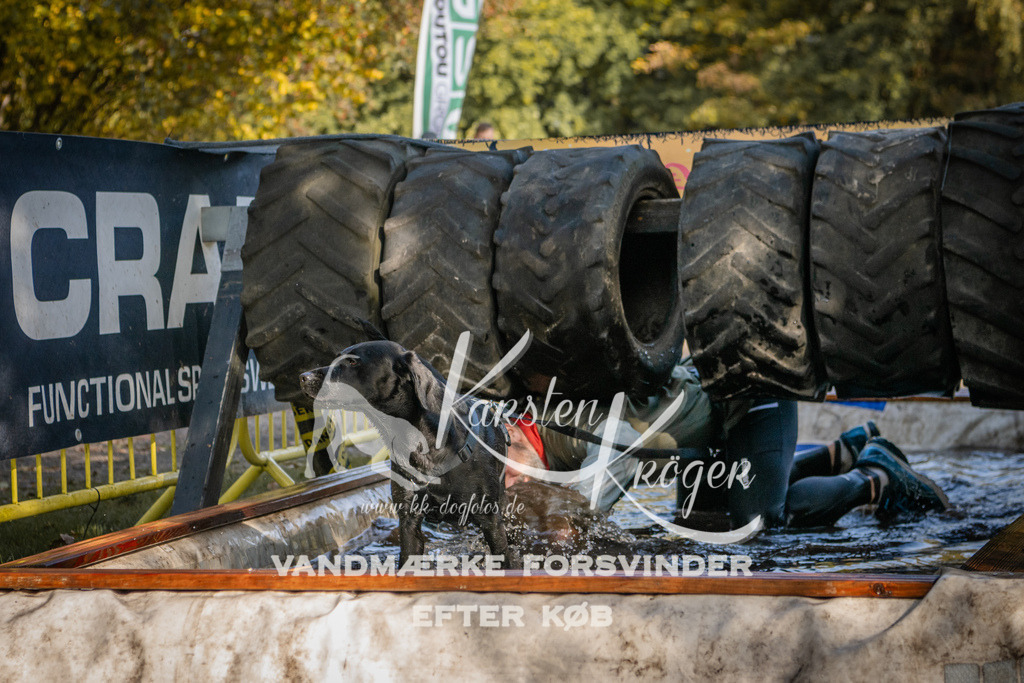 1109_ZZ93201 | kk-dogfotos