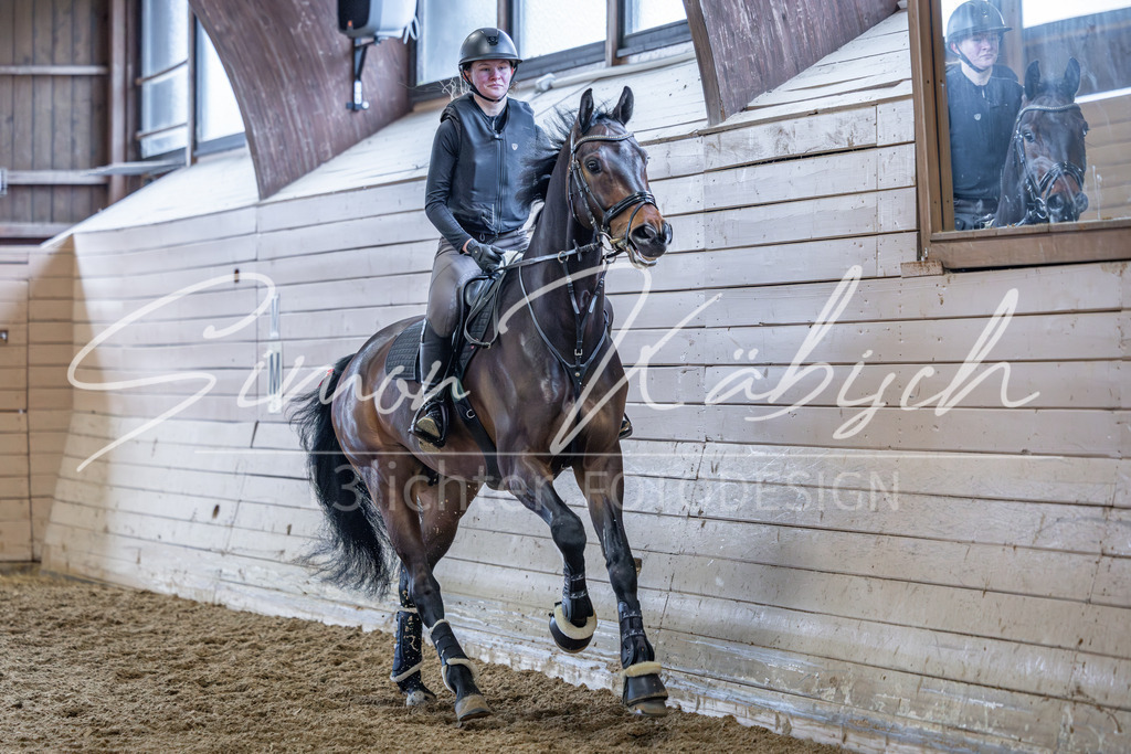 20260221-_3LI0276 | Tierfotografie Pferde, Hunde, Katzen, Haustiere.
Turnierfotografie Reitturniere, Reiten, Springreiten, Dressur in Hanau, dem Main-Kinzig-Kreis und dem Rhein-Main- Gebiet um Frankfurt