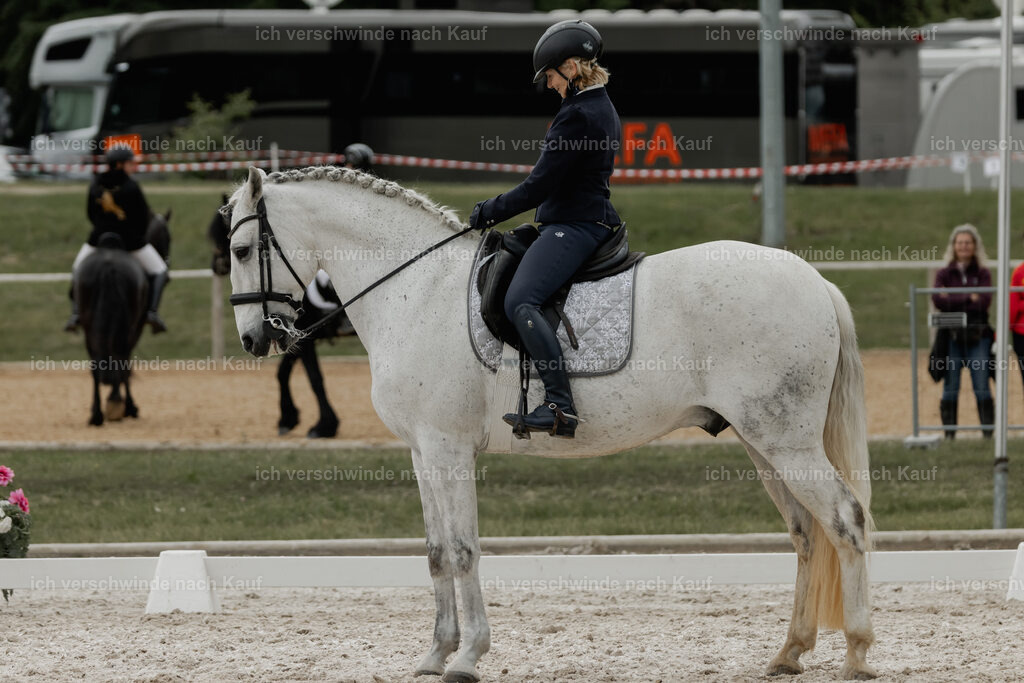 WE_DR_Stoib_331_PI2025_357 | Pferd International München 2025