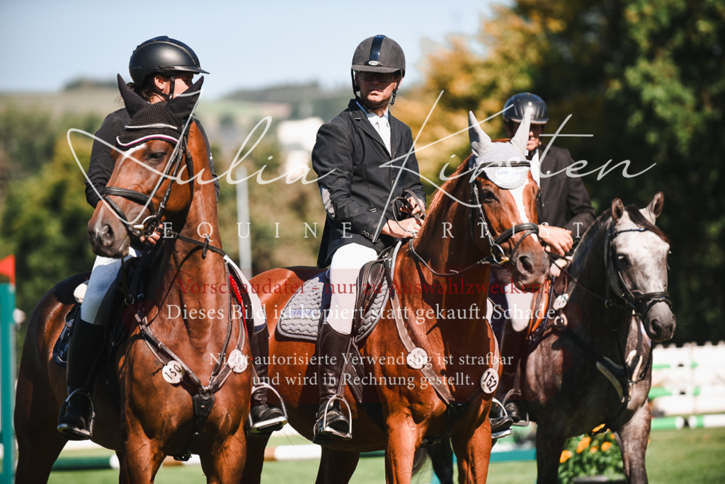 DSC_2632 | Pferde- und Turnierfotografie in Westsachsen. Pferdeportraits, Auftragszeichnungen und intuitive Kunst.