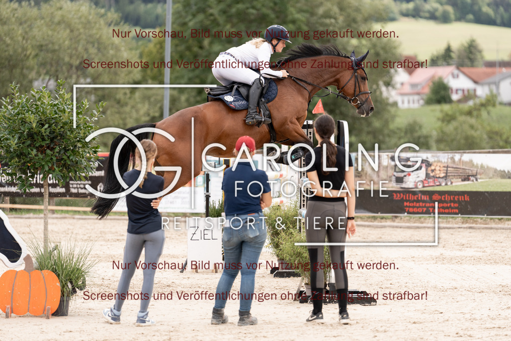 DSC06769 | Springturnier_Teamchallege_Talheim_2026, Clarissa_Schwär, Cranberry_19