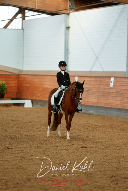 _62_7978 | Turniersportfotografie; Pferdefotografie; Dressurfotografie