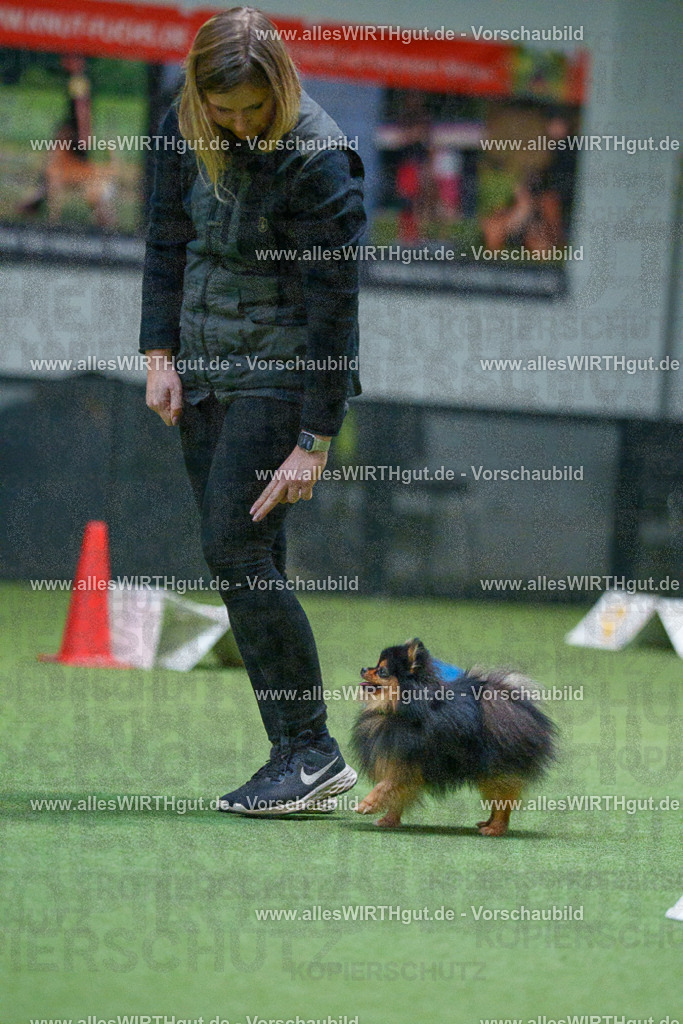 7R503491 | Professionelle Tierfotografie in Mönchengladbach von Daniel Wirth (allesWIRTHgut). Liebevolle & natürliche Bilder von Hunden & Katzen für unvergessliche Erinnerungen.